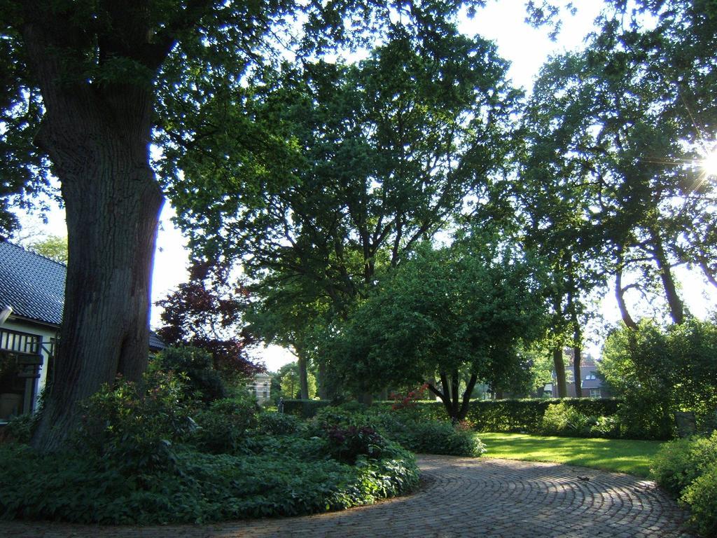 B&B"De Hassehof" Sellingen Экстерьер фото