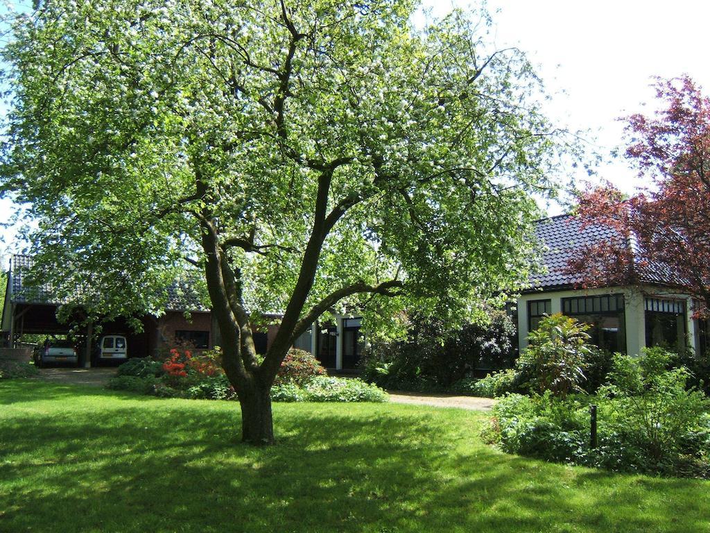 B&B"De Hassehof" Sellingen Экстерьер фото